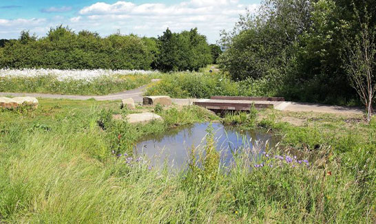 Drainage and Flooding
